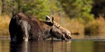 temp b172e366 a74d 4bfa abfe d30f0f06af30