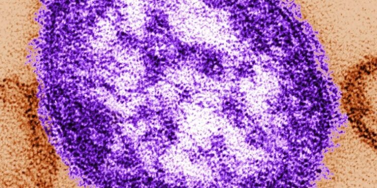 temp image 60