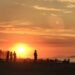 temp d5c30e07 b9a8 4063 b0d1 a10f9cce1b1a