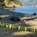 Mother, 5-month-old child killed by falling tree on Vancouver Island 26 temp 32fdae81 b346 40cc b54b 5033ce2c71e2