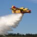 Total fire ban in effect for Kawartha Lakes as crews battle 'significant' forest fire 26 temp 79f0e7fb 78bb 46f4 9be3 4bc83cddcaa3