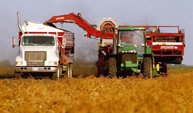 Canada's economy 'back down to earth,' shedding 41K jobs in July as youth unemployment climbs to highest level since 2010 19 temp db5a84ae 3c08 47cf ae85 476eaae620d4