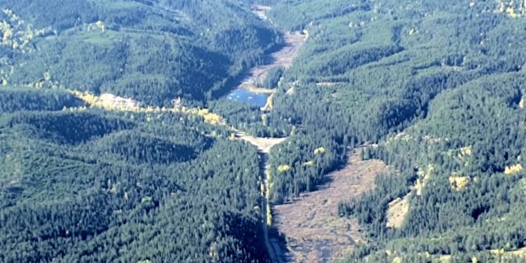 temp 2dc13fe1 3b48 4e90 ac12 33ae42e9216d