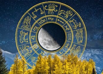 temp b5067ded 66db 44b9 b407 60c4f21059b6