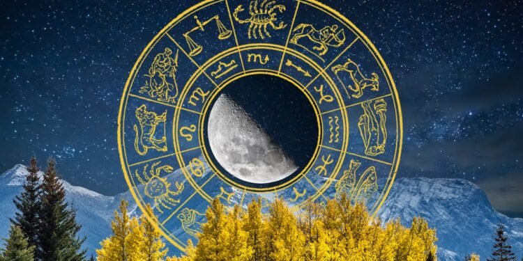 temp b5067ded 66db 44b9 b407 60c4f21059b6