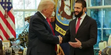 temp cb5f9638 496a 4c0d a601 6f9ba3545064