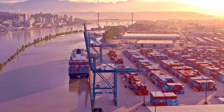 aa4e3198 bc14 7a59 cc07 f11007dc471f 1024x683 1