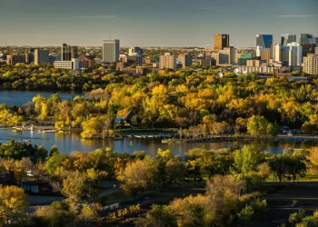 Spring pollen season intensifies in Saskatchewan with birch and ash trees releasing pollen