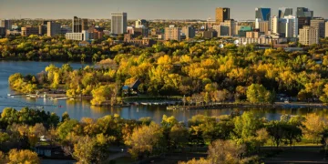 Spring pollen season intensifies in Saskatchewan with birch and ash trees releasing pollen