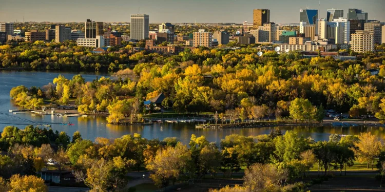 Spring pollen season intensifies in Saskatchewan with birch and ash trees releasing pollen