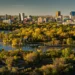 Spring pollen season intensifies in Saskatchewan with birch and ash trees releasing pollen