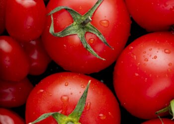 Fresh tomatoes in a grocery store reflecting soaring food prices in Canada