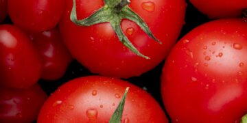 Fresh tomatoes in a grocery store reflecting soaring food prices in Canada