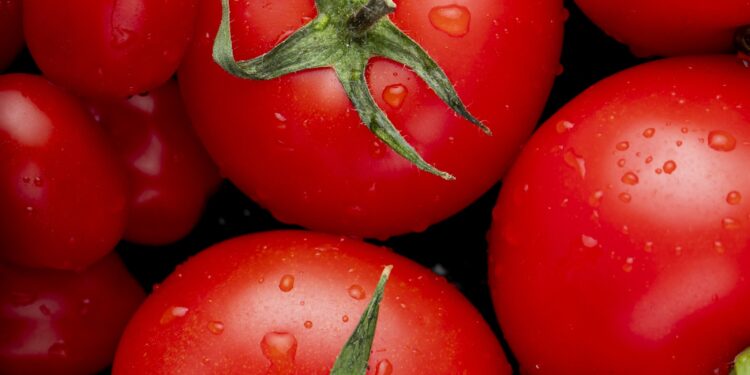 Fresh tomatoes in a grocery store reflecting soaring food prices in Canada